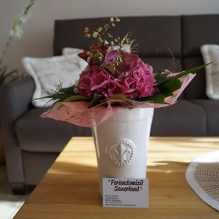 Апартаменты Feriendomizil-sauerland-fewo-2 *