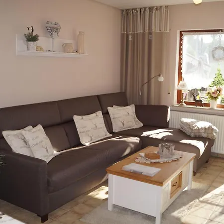 Апартаменты Feriendomizil-sauerland-fewo-2 *